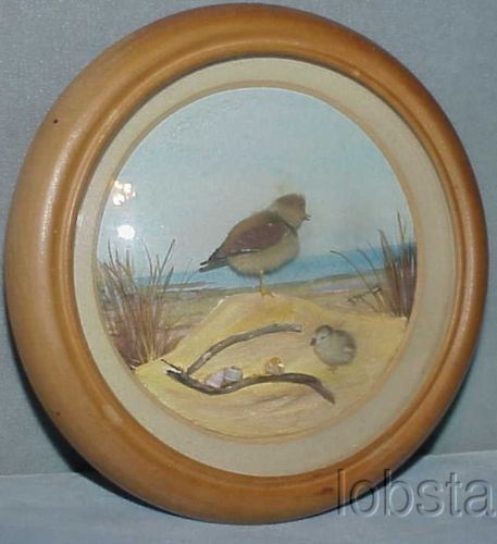 Semi Palmated Plover and Chick (5-inch)